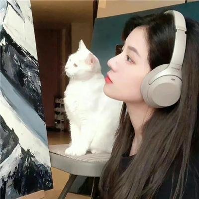 水星领航员第三季