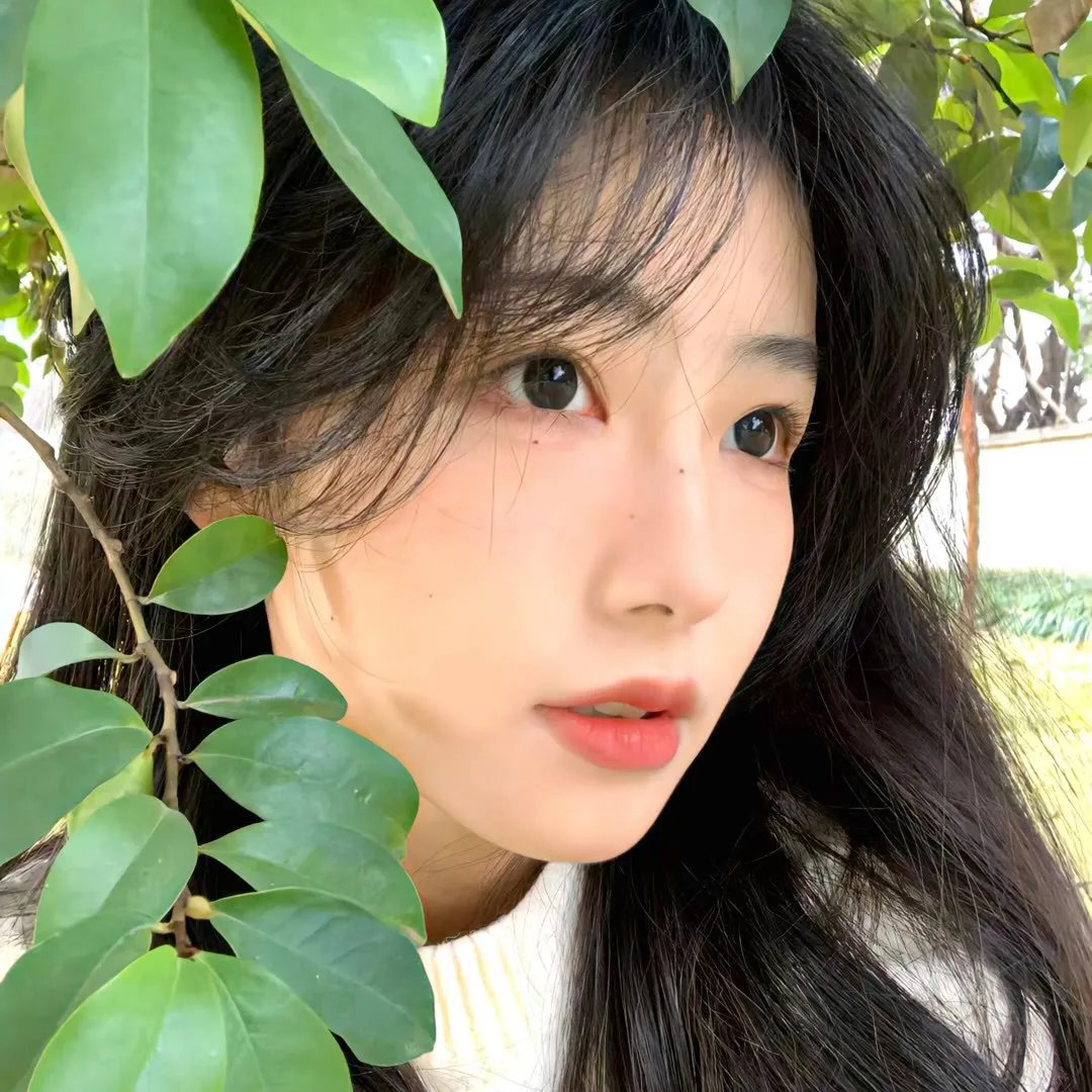 青春之歌